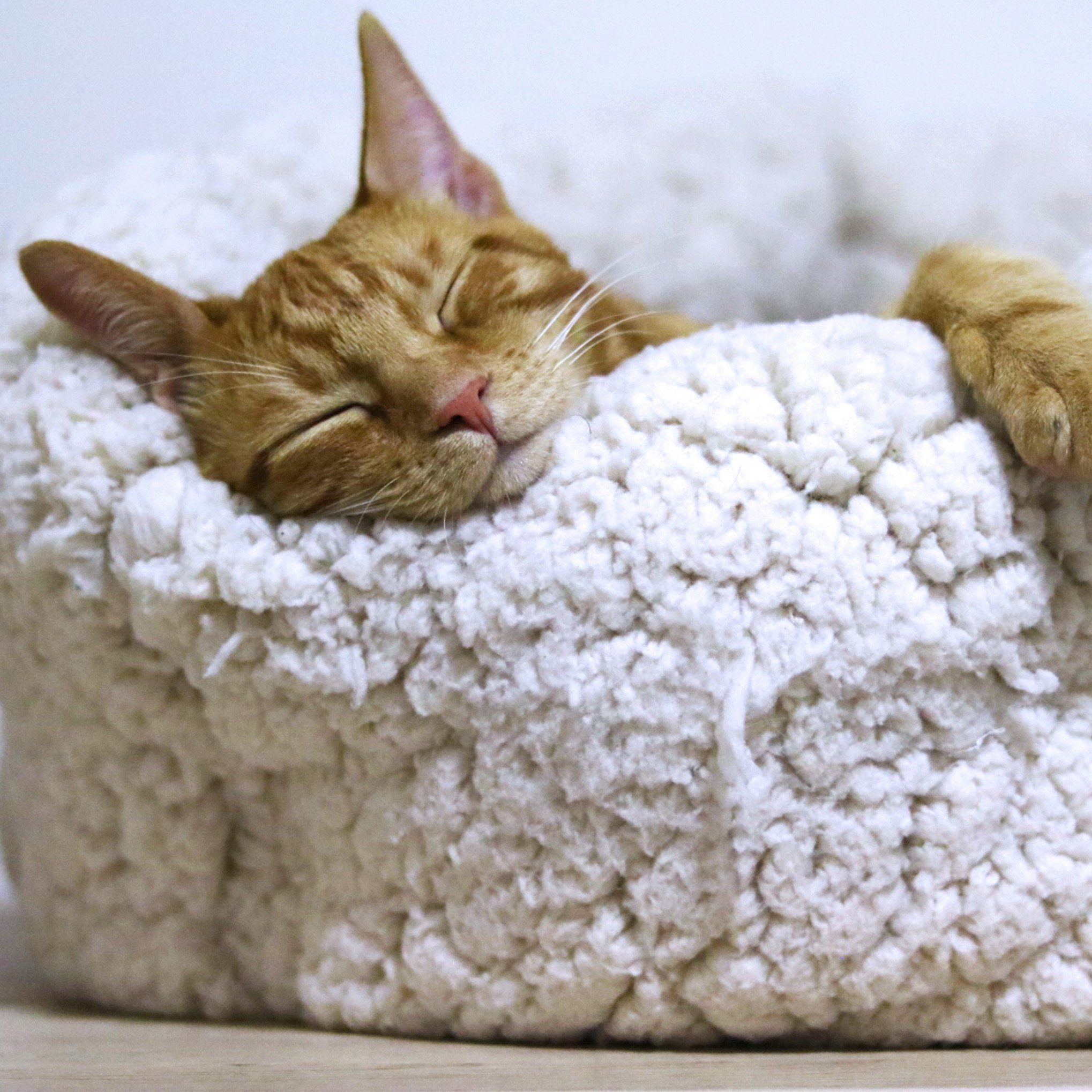 Kľúč ku kráse a zdraviu - kvalitný spánok