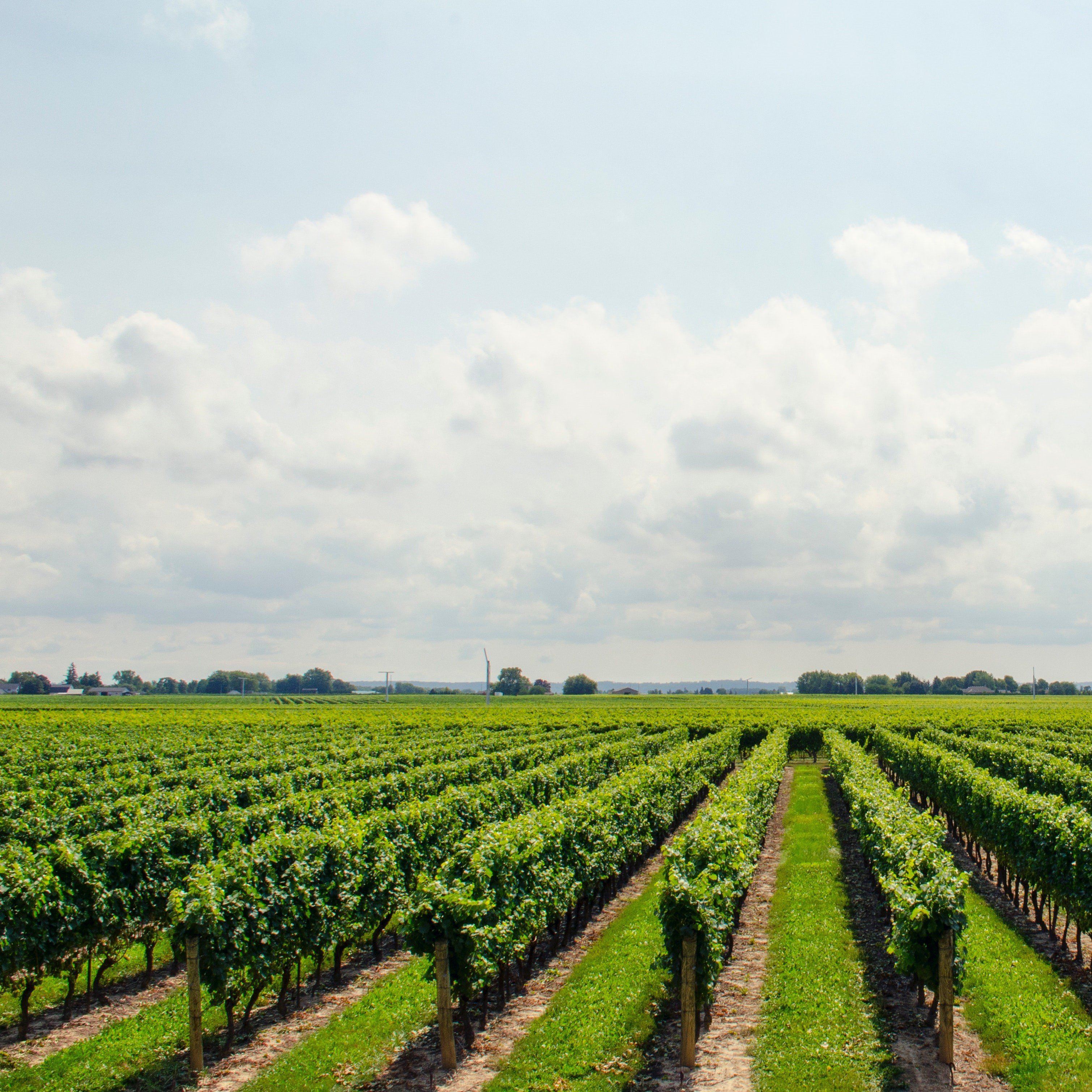 Leto u susedov vo Viedni – MARK dáva tipy na letné akcie a miesta, kde ste ešte neboli!
